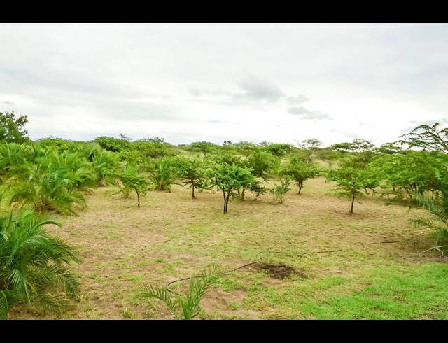 100M² FARM FOR SALE IN ESHOWE RURAL